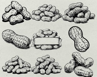 Rustic Peanut SVG Bundle: Hand-Drawn Illustrations for Laser Engraving (Digital Download)