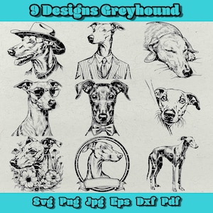 Greyhound Svg Bundle, Peeking Greyhound Png, Cowboy Hat Greyhound Svg, Greyhound w garniturze Dxf, Floral Greyhound Png, Sunglass Greyhound, For Logo