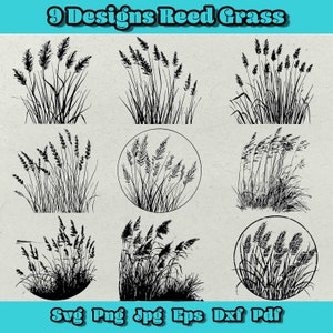 May include: Nine black and white silhouette designs of tall grass, or reeds, in various arrangements. Some designs are in a circle, others are in a rectangle. The text "9 Designs Reed Grass" is at the top of the image. The text "Svg Png Jpg Eps Dxf Pdf" is at the bottom of the image.