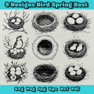 Pacote SVG de ninho de primavera de pássaro, ninho PNG, clipart de pássaro bebê, ninho de ovo da natureza Eps, casa de passarinho floral Dxf, vetor de ninho de vida selvagem, design de ninho rústico