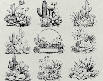Cactus Succulent SVG Bundle: Desert Plant Line Art - Laser Engraving PNG (Digital Download)
