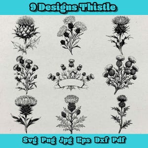 Lot de chardon SVG | 9 modèles de fleurs sauvages pour gravure laser et cricut (fr) | Clipart vectoriel botanique, plante de jardin SVG