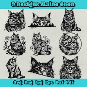 Maine Coon-Svg-Bundle, Katze Png, Maine-Coon-Dxf mit Blumenmuster, süße Maine-Coon-Svg, spähende Maine-Coon-Svg, Tier-Svg, Haustier-Png, Maine-Coon-Kopf Eps