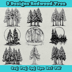 Redwood Tree SVG Bundle - 9 Unique Hand-Drawn Tree Designs, Forest Art Illustrations for Laser Engraving, Nature Crafts & Decor