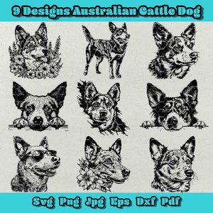 Australian Cattle Dog SVG Bundle, Australian Cattle Dog floreale PNG, Australian Cattle Dog che sbircia DXF, Cattle Dog testa SVG, Cattle Dog PNG