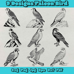 Falcon Bird Svg-bundel, Hawk Falcon Raptor Tree Bird Osprey Coaster Laserbestand Zwart Wit SVG, Peregrine Svg, Lightburn, Cut, Iron-on, Dxf, Eps