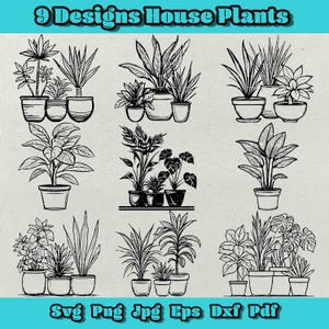 Paquete de plantas de interior SVG, imágenes prediseñadas de plantas en macetas, decoración botánica para el hogar PNG, vegetación de interior EPS, planta Monstera DXF, vector de hoja tropical
