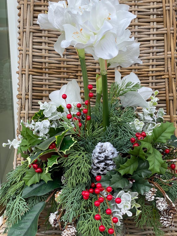 Amaryllis Floral Arrangement, Amaryllis Winter Centerpiece with Pinecones and Holly, Elegant Winter Centerpiece, White Amaryllis Centerpiece