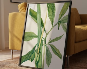 May include: A framed botanical print featuring a detailed watercolor illustration of a green plant with large leaves and a central stem. The artwork is set against a white background and framed in a black frame. The print leans against a yellow sofa.