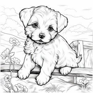 Set of 12 Cute Puppy Coloring Pages