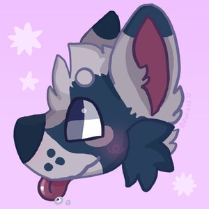 Commissions photo/pfp