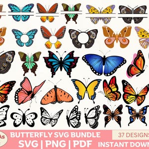 Butterfly SVG PNG PDF Bundle: Floral Clipart, Sublimation Design (Digital Download