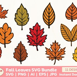 May include: A collection of eleven fall leaf designs in various colors, including orange, red, yellow, and brown, with black outlines. The image includes the text "Fall Leaves SVG Bundle" and "11 Designs".