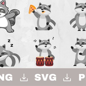 Bundle SVG raton laveur, raton laveur Svg, tête de raton laveur Svg, raton laveur Png, ratons laveurs Svg Png, fichier coupe raton laveur, Silhouette de raton laveur, Clipart raton laveur
