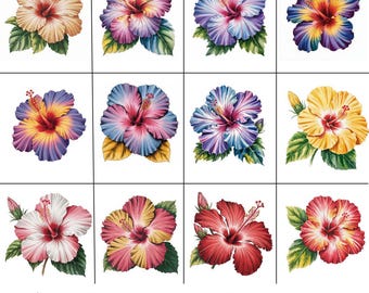 Watercolor Hibiscus Clipart Bundle: Tropical Floral Designs (Digital Download)
