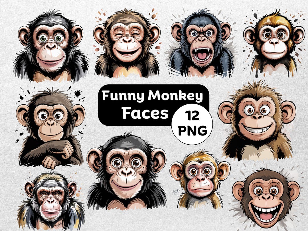 Monkey Faces Funny Monkey Faces PNG Clipart Bundle: Jungle Safari Graphics (digital ...
