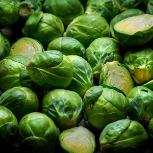 Brussel Sprouts - Bedford Darkmar 21 - Seeds
