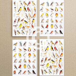 3 Sticker Sheets | Birds | Printable Stickers | Digital Download PNG ...