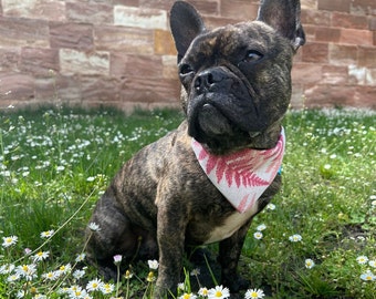 Hundehalstuch "Rosa Farn" in One-Size – Hundegeschenk - Geschenk für Hundinnen - Rosa Eleganz trifft Funktionalität
