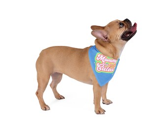 Pet Bandanna, Mommy Says I'm the Cutest, Dog or Cat