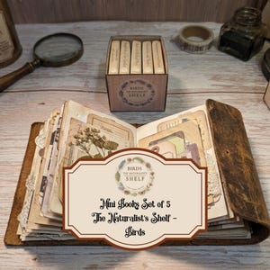 May include: A set of five miniature books titled The Naturalist's Shelf - Birds, housed in a square cardboard box with a circular label. The books feature cream-coloured spines with text, displayed alongside an open, leather-bound journal.