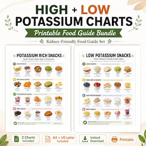 Könnte beinhalten: Ein druckbares Lebensmittel-Ratgeber-Bundle mit den Titeln "HIGH + LOW POTASSIUM CHARTS" und "Kidney-Friendly Food Guide Set". Die Diagramme listen Snack-Ideen auf, darunter schnelle Snacks, Snacks zum Mitnehmen, Snacks nach dem Training und süße Snacks. Enthält A4- und US-Letter-Formate.