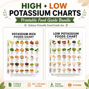 Op de afbeelding: Een afdrukbare voedingsgidsbundel met "High + Low Potassium Charts" en "Kidney-Friendly Food Guide Set" tekst. De kaarten bevatten fruit, groenten, eiwitten, peulvruchten, granen en snacks. Inclusief "2 Charts Included", "A4 + US Letter Included".