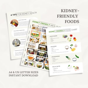 Kidney Disease Food List Kidney Friendly Food List PDF Printable A4 & US Letter Size Food To Eat Renal Diet Food Chart Low Sodium No Salt
