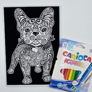 Colorir Veludo Bulldog Francês - Colorvelvet-USA - Desenho para colorir - Artesanato infantil - Gerenciamento de estresse / 11,75" x 8,25" - Qualidade premium