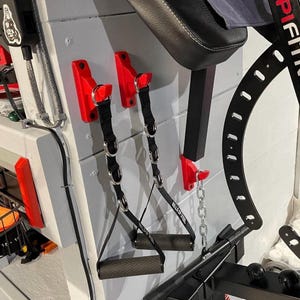 Buy Rogue Equipment Online In India Etsy India