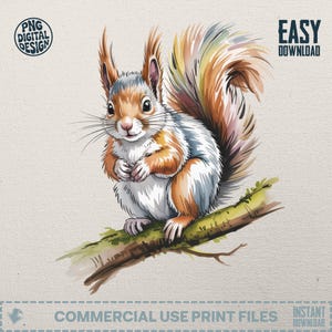 Watercolor Squirrel Clipart, Cute Animal PNG, Digital Illustration for Crafts, Commercial Use, Instant Download, Squirrel art, Woodland