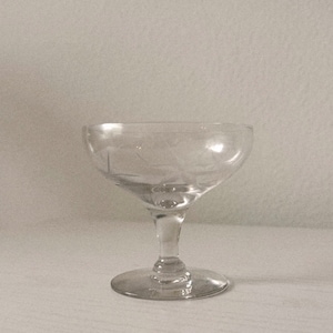 Vintage Etched Floral Coupe Glass