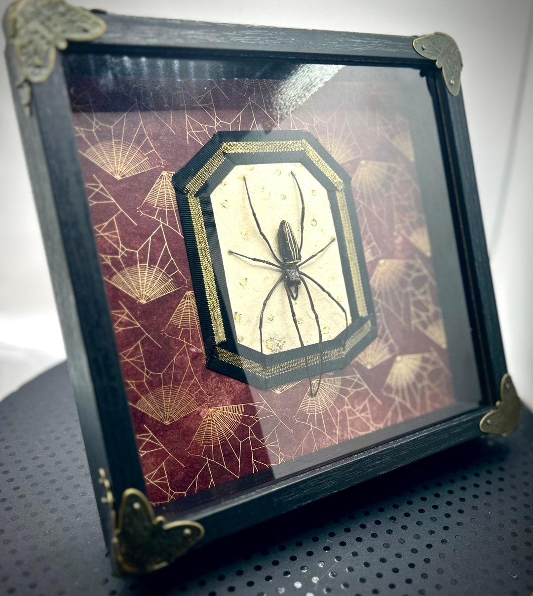Framed Orb Weaver on Golden Web Background - Etsy