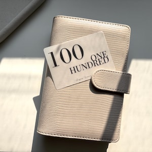 Micro Cash Envelope Placeholders | A6 Cash Envelope Placeholders | A6 Cash Budget Binder Accessories