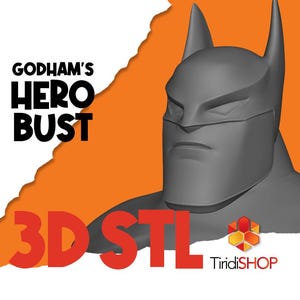 Godham&#39;s Hero Stylize Model STL 3D Print, Ready PIECED 3d Print