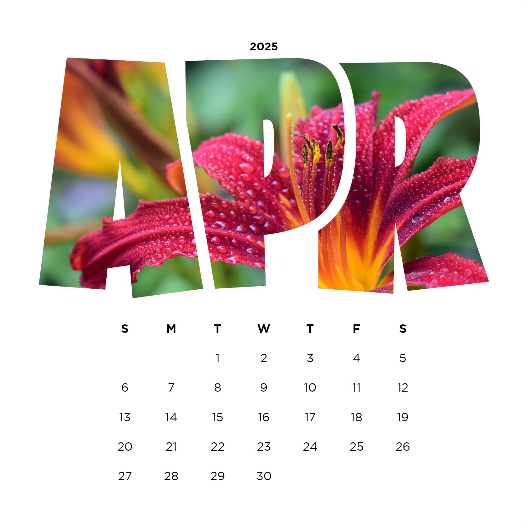 2025 Calendar Editable Canva Template White - Etsy