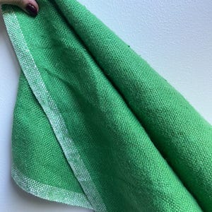 Pu&ograve; includere: Un tessuto verde con un bordo bianco. Il tessuto &egrave; piegato a met&agrave; e il bordo &egrave; visibile sul bordo.