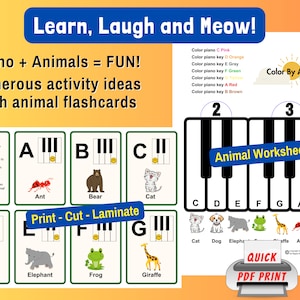 Piano Key Flashcards and Music Worksheet. Preschool Piano Flashcards, Beginner Piano Lessons, Piano Key Names, Coloring The Piano Keys, PDF