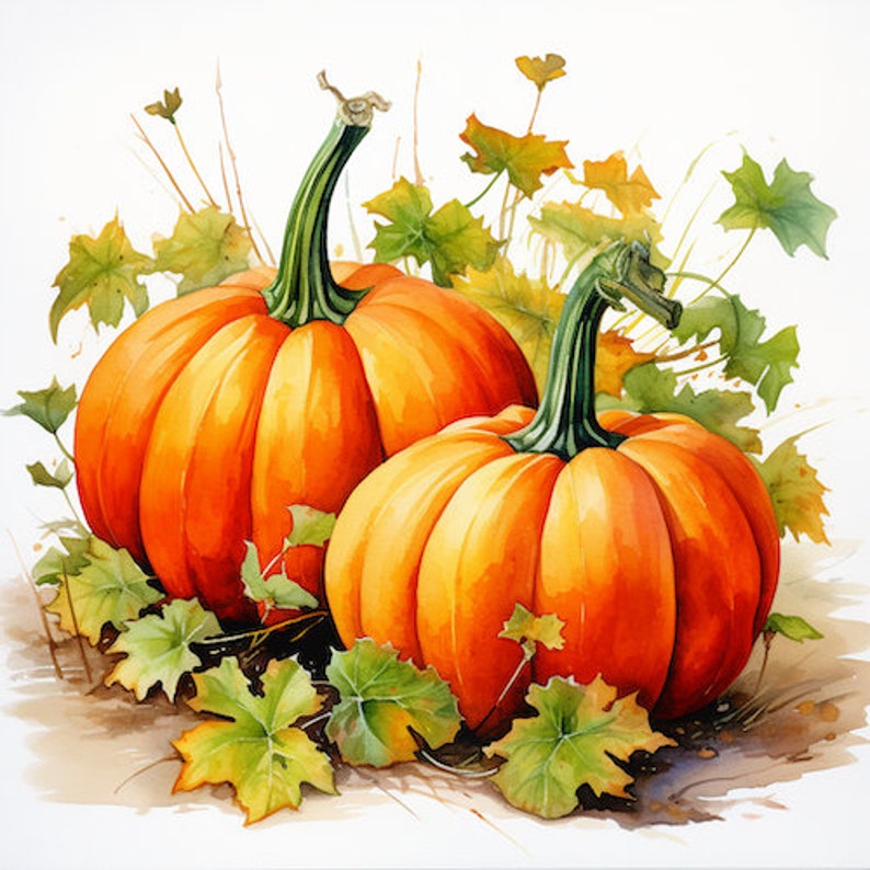 20-water-color-pumpkin-illustrations-etsy