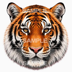Könnte beinhalten: Eine detaillierte Illustration eines Tigerkopfes in Frontalansicht mit leuchtend orangefarbenem Fell, schwarzen Streifen, weißem Fell an Schnauze und Ohren sowie bernsteinfarbenen Augen. Das Wort SAMPLE ist in weißer Schrift über das Gesicht gelegt.