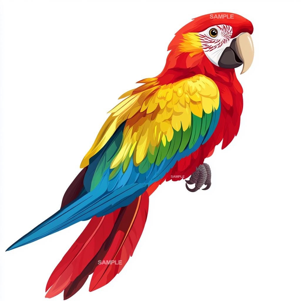 Colorful Parrot Clipart: PNG Image (Digital Download)