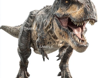 T-Rex Clipart - Dinosaur Clipart - PNG format