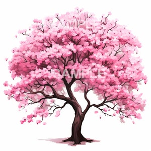 Cherry Blossom Tree Clipart - PNG