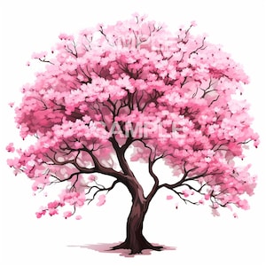 May include: A pink cherry blossom tree with a thick trunk and branches reaching out with delicate pink flowers.