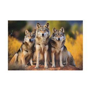 May include: Three grey wolves with brown markings are sitting on a red rock. The wolves are looking directly at the camera. The background is a blurred image of yellow and green foliage.