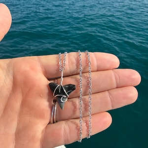 Stainless Steel Wire Wrapped Shark Tooth Necklace | Wave Pattern Pendant | Beach Jewelry | Ocean Lover Gift | Surf Style Necklace | Coastal