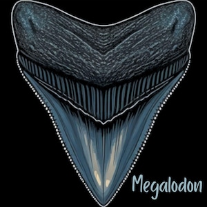Megalodon Sharks Tooth Wall Art Design