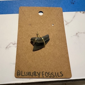 Shark Tooth Pendant