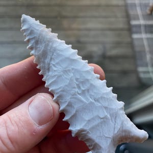 May include: A hand-held, off-white arrowhead with a serrated edge and a notched base. The arrowhead is made of stone and has a textured surface. The arrowhead is a relic from a bygone era.