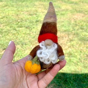 May include: A handmade felt gnome doll with a tall, pointed hat in shades of brown and a red band. The gnome has a white beard and is holding a small orange pumpkin. The doll is a fall-themed decoration.